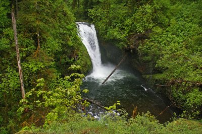 Lower Butte Creek Falls , Oregon