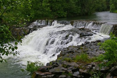 Butte Creek at Scotts Mills OR