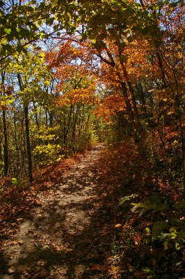 East Pinacle trail