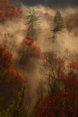 Red River Gorge, Rush Creek valley.