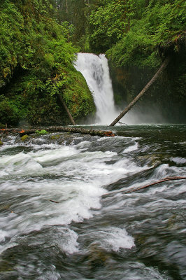 Lower Butte creek Falls, Oregon