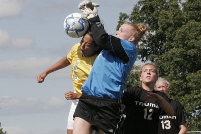 Bulldogs In Action