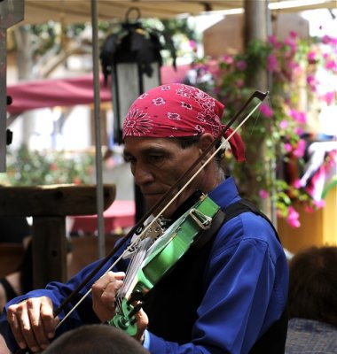 Green Violin