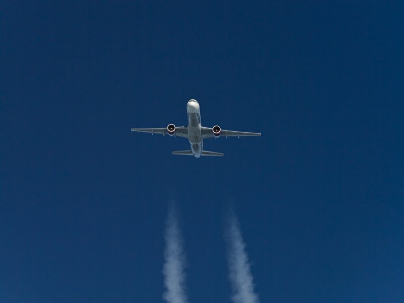 L1000603sm.jpg