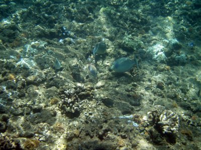 g5/19/653719/3/99456878.2Sk9O9cl.jpg