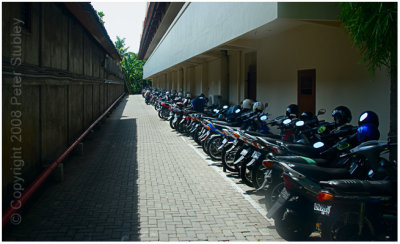 Motorcycles and scooters.