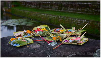 And more offerings.