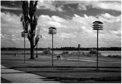 Birdhouses, Lac St Louis.