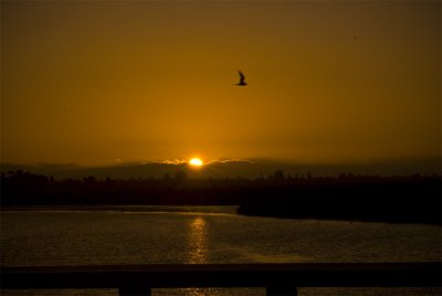 Sunset over Baylands_572y