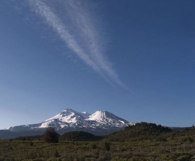 Mount Shasta, CA_587d