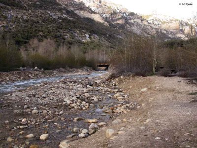 Lamoille Campground_596ee