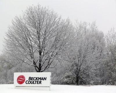 First Snow at Beckman