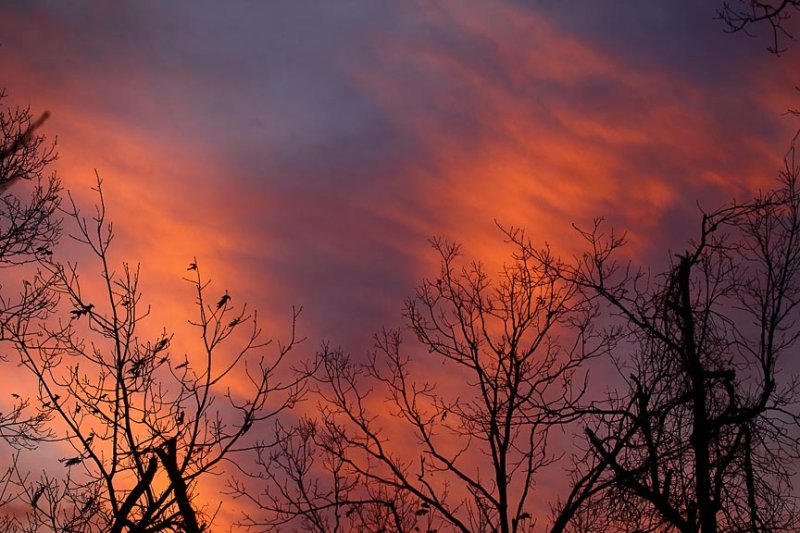 November Dawn on Gaither Mountain