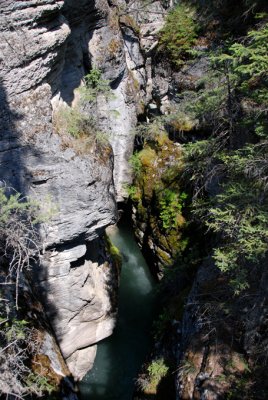 Canyon Maligne