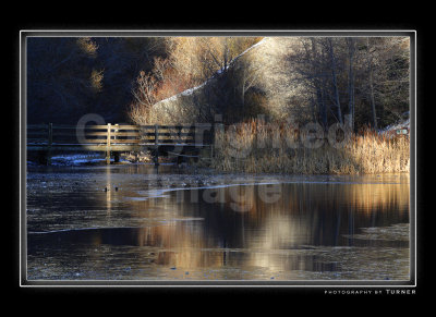 Faery Lighting at Lake Fulmore