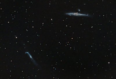 NGC4631 y NGC4656