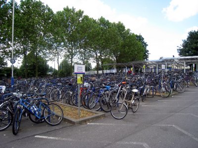 Oxford bicycles
