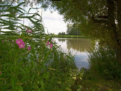 Ballerup nature