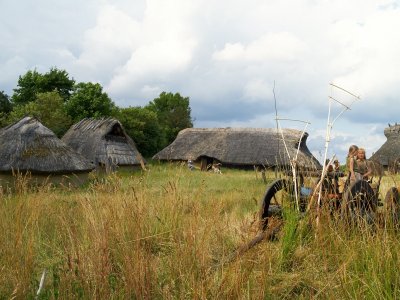 2008-07-12 Iron age village