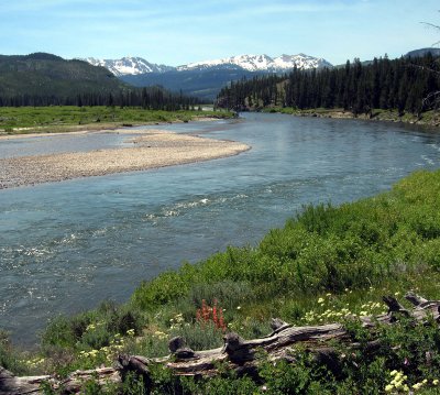 Snake River North of Jackson Lake.jpg