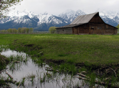 Snow on the Mountain - June 09.jpg