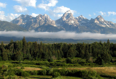 Blacktail Ponds Overlook.jpg