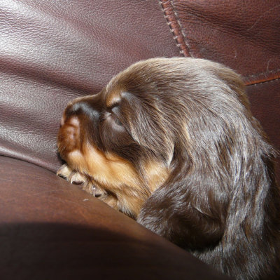 southern counties 049.JPG
