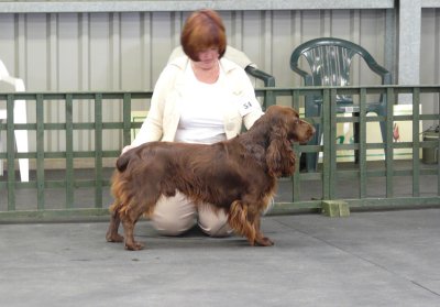 FSS Champ Show 2008 006.jpg
