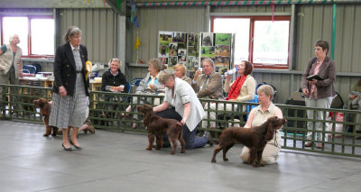 FSS Champ Show 2008 067.jpg