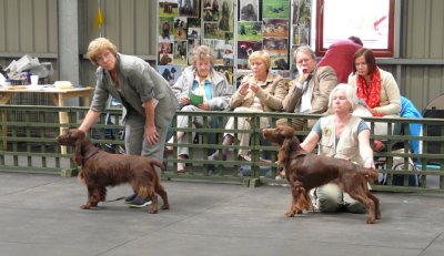 FSS Champ Show 2008 071.jpg