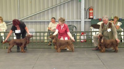 FSS Champ Show 2008 086.jpg