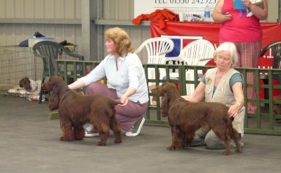 FSS Champ Show 2008 089.jpg