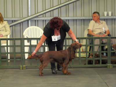 FSS Champ Show 2008 093.jpg