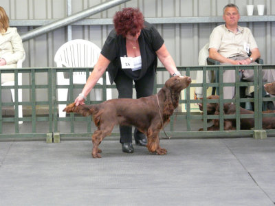 FSS Champ Show 2008 094.jpg