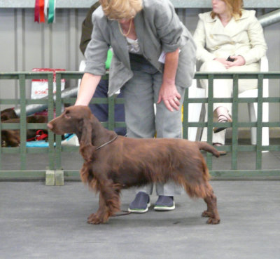 FSS Champ Show 2008 095.jpg