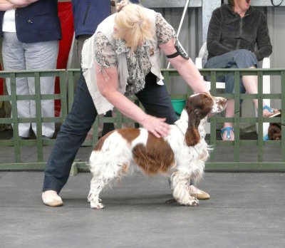 FSS Champ Show 2008 096.jpg