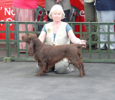FSS Champ Show 2008 097.jpg