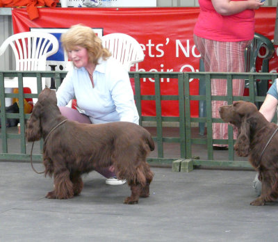 FSS Champ Show 2008 098.jpg