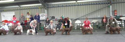 FSS Champ Show 2008 102.jpg