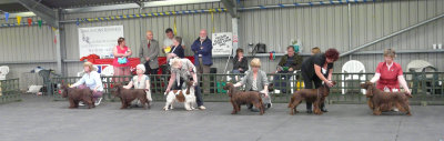 FSS Champ Show 2008 103.jpg