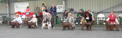 FSS Champ Show 2008 104.jpg