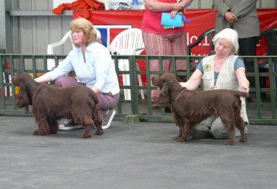 FSS Champ Show 2008 105.jpg