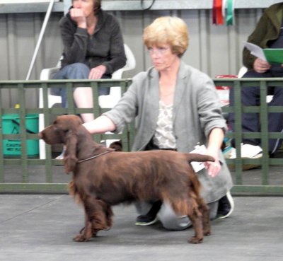 FSS Champ Show 2008 107.jpg