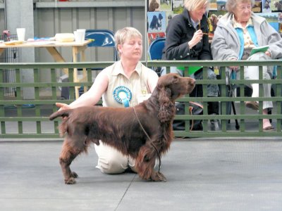 FSS Champ Show 2008 113.jpg