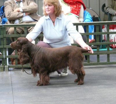 FSS Champ Show 2008 114.jpg