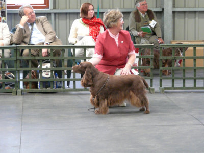 FSS Champ Show 2008 120.jpg