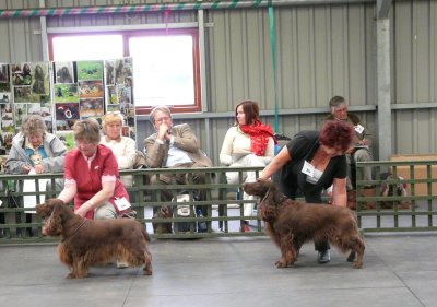 FSS Champ Show 2008 122.jpg