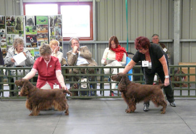 FSS Champ Show 2008 123.jpg