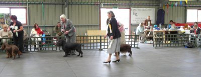 FSS Champ Show 2008 124.jpg