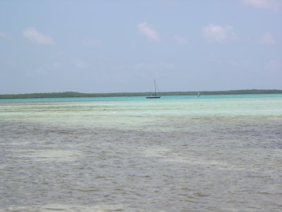 g5/20/273920/3/99898900.JSooJGJx.jpg